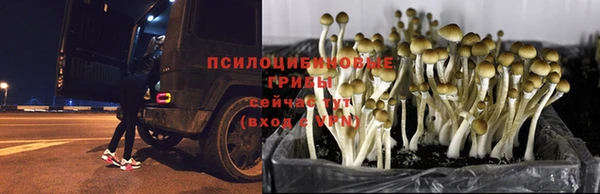 MDMA Киренск